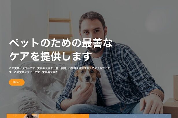 エスティバル：WordPressテーマ Elementorシリーズ - Medical#16 - メディカルヘルス＆クリニック16 PCSS01